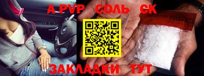бошки Кингисепп