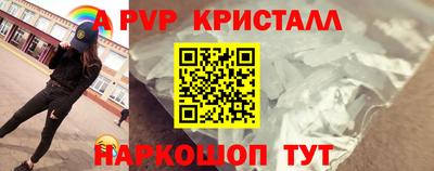 бошки Кингисепп