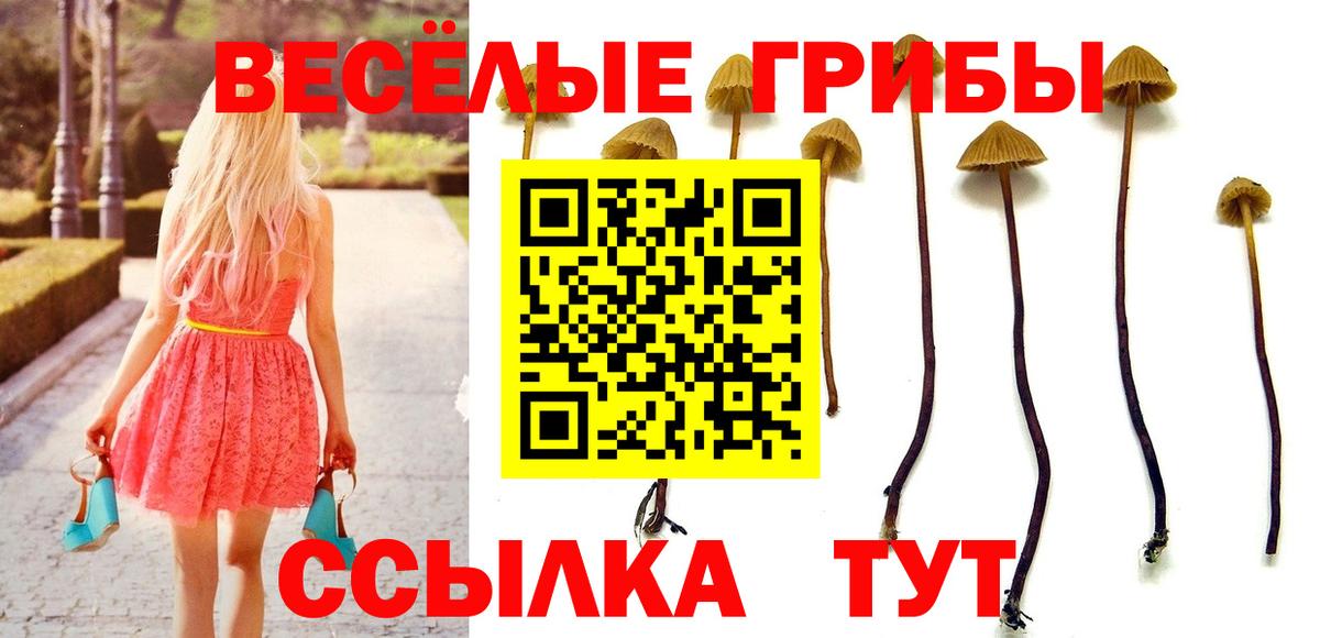 Галлюциногенные грибы Magic Shrooms Невинномысск